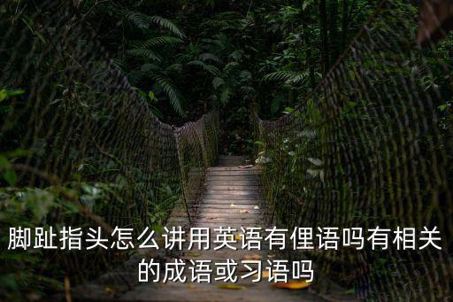 腳趾用英語怎么說，腳趾用英語怎么說