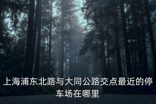 上海市鴻旭豪苑停車位，上海虹口區寶山路1號龍盤樓吃飯可以停車嗎