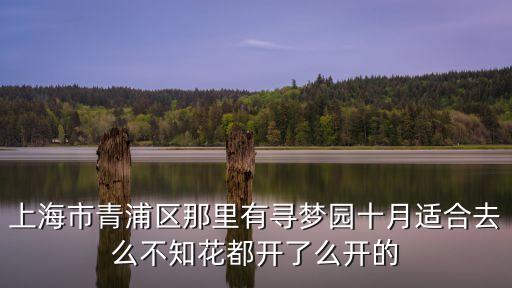 上海市青浦區(qū)那里有尋夢(mèng)園十月適合去么不知花都開了么開的