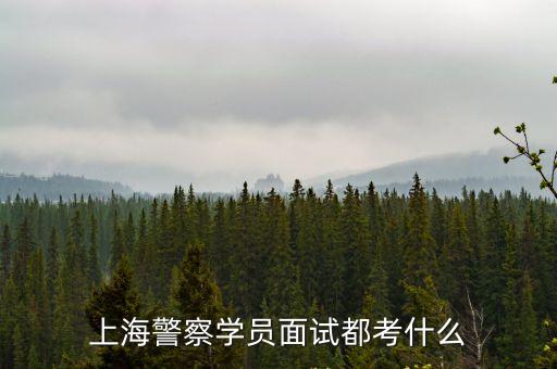 上海市警察學員面試是哪里組織，2019上海公務員警察類考試面試有無領導小組嗎