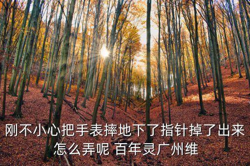 剛不小心把手表摔地下了指針掉了出來(lái) 怎么弄呢 百年靈廣州維