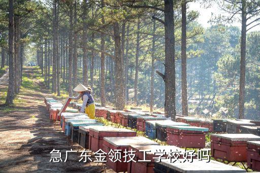 廣州增城金領技工學校怎么樣 好不好，廣州金領技工學校怎么樣