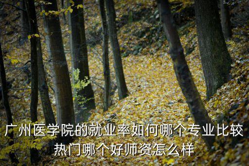 廣州醫(yī)學(xué)院的就業(yè)率如何哪個(gè)專業(yè)比較熱門哪個(gè)好師資怎么樣