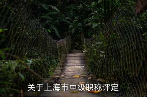 關(guān)于上海市中級職稱評定