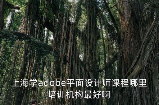 上海學adobe平面設計師課程哪里培訓機構最好啊