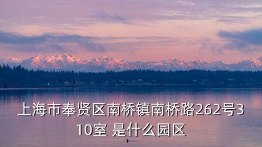 上海市奉賢區南橋鎮南橋路262號310室 是什么園區