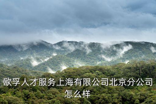 歐孚人才服務(wù)上海有限公司北京分公司怎么樣