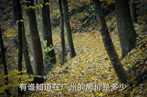 廣州光大榕岸最新房價，廣州市區樓價