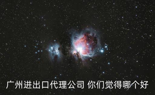 廣州鴻中鴻進出口，廣州進出口代理公司 你們覺得哪個好