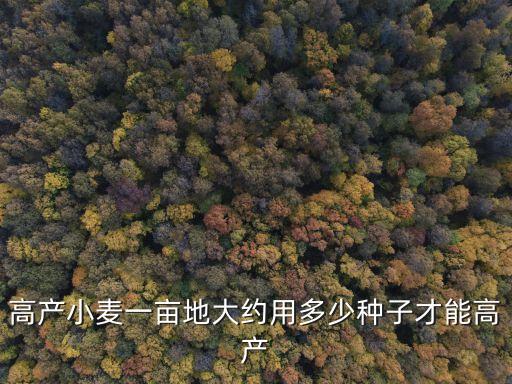 高產小麥一畝地大約用多少種子才能高產