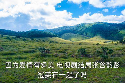 因為愛情有，因為愛情有情天所有歌