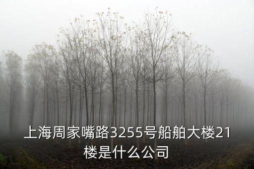 上海周家嘴路3255號船舶大樓21樓是什么公司