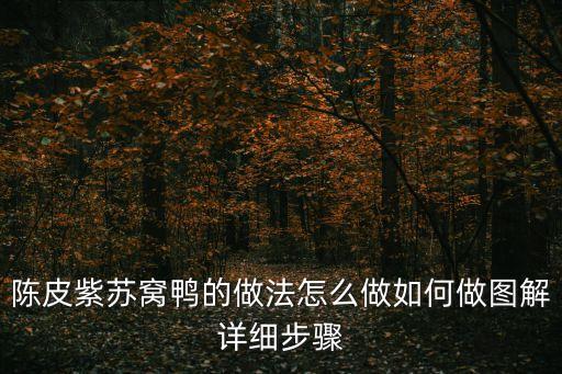老窩鴨，廣東省 郁南縣 連灘鎮的特色 窩鴨 怎么做