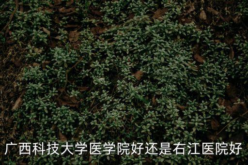 廣西科技大學(xué)醫(yī)學(xué)院好還是右江醫(yī)院好