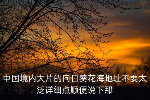 中國(guó)境內(nèi)大片的向日葵花海地址不要太泛詳細(xì)點(diǎn)順便說(shuō)下那