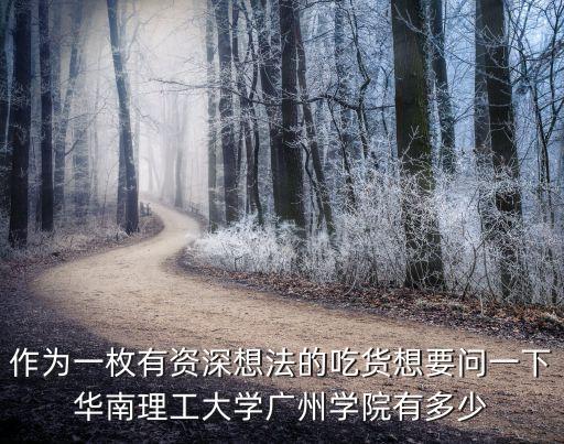 作為一枚有資深想法的吃貨想要問一下華南理工大學(xué)廣州學(xué)院有多少