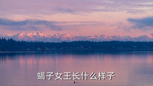 蝎子女王長什么樣子