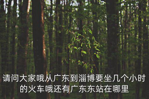 請問大家哦從廣東到淄博要坐幾個小時的火車哦還有廣東東站在哪里