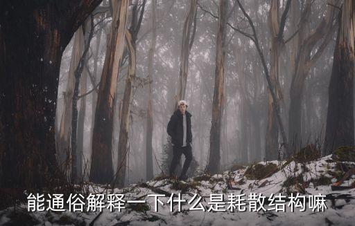 耗散，能通俗解釋一下什么是耗散結(jié)構(gòu)嘛