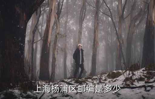 上海楊浦區郵編是多少