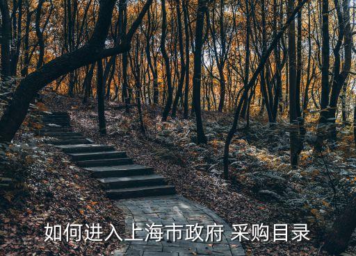 如何進入上海市政府 采購目錄