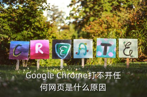 Google Chrome打不開任何網(wǎng)頁是什么原因