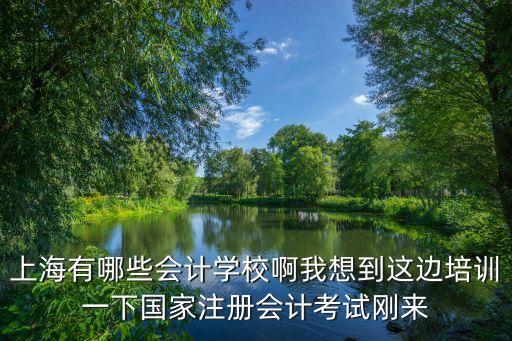 上海市屬大學總會計師有幾個，請問上海哪些大學有會計專業