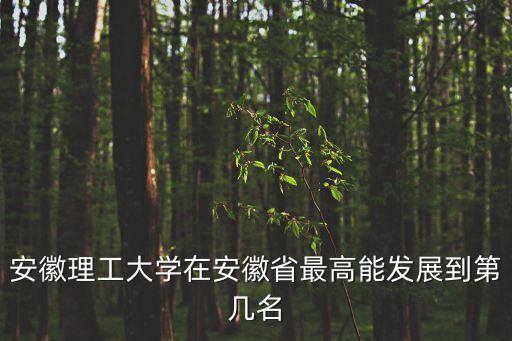 安徽理工大學(xué)在安徽省最高能發(fā)展到第幾名