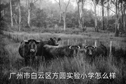 廣州市方圓實驗小學教師處分，廣州市方圓實驗小學的待遇