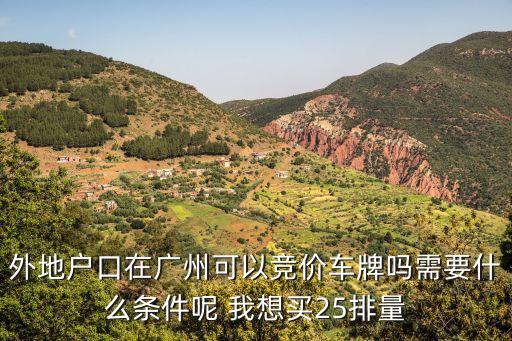 廣州競拍補貼車型，廣州中小客車指標(biāo)我是競拍的能買30排量的車嗎