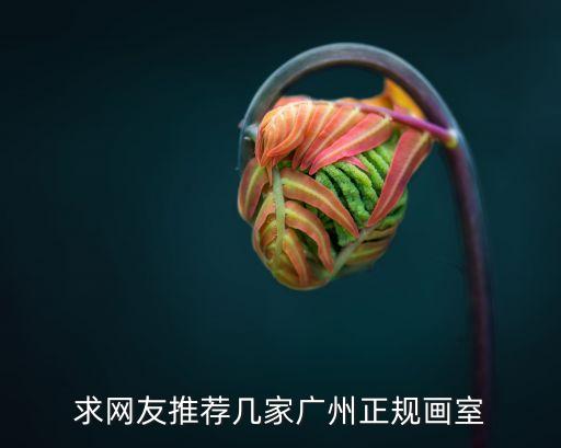 廣州半封閉畫室，求網(wǎng)友推薦幾家廣州正規(guī)畫室
