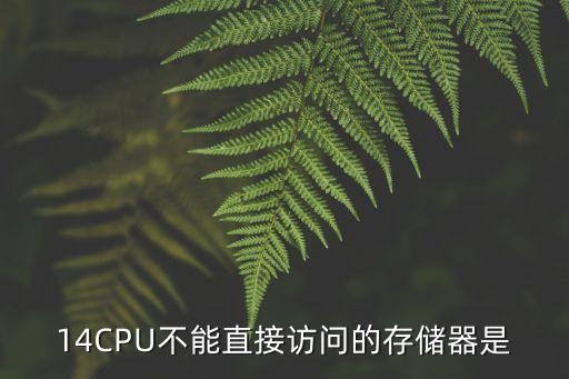 cpu不能直接訪問(wèn)的存儲(chǔ)器是，CPU不能直接訪問(wèn)的存儲(chǔ)器是 ARAM BROM C內(nèi)存儲(chǔ)器 D外存