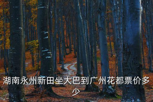 湖南永州新田坐大巴到廣州花都票價多少