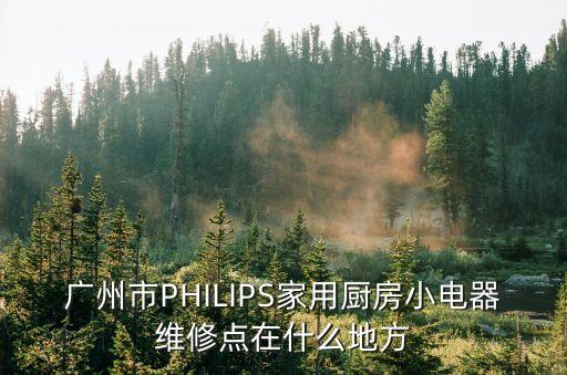 廣州市PHILIPS家用廚房小電器維修點在什么地方