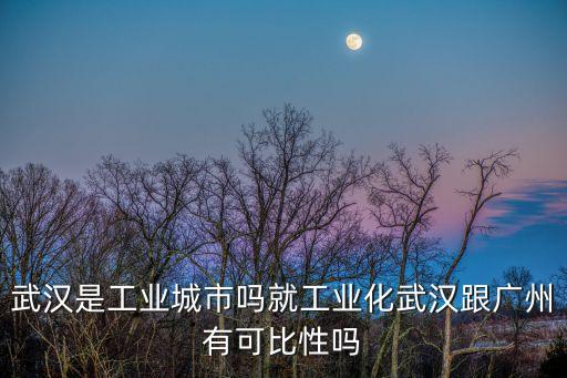 廣州屬于工業化城市嗎，中國工業化代表城市有