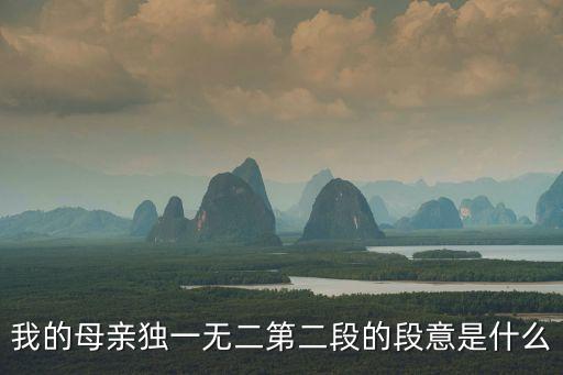 我的母親獨(dú)一無二第二段的段意是什么