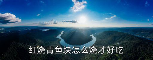 紅燒青魚塊怎么燒才好吃