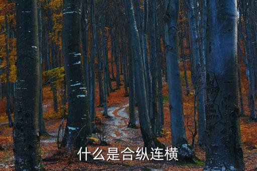 廣州市合縱聯(lián)橫貿(mào)易有限公司，什么是合縱連橫