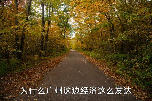 廣州這邊什么發達，廣州哪個區比較發達