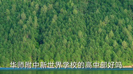 華師附中新世界學(xué)校的高中部好嗎