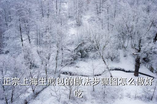 正宗上海生煎包的做法步驟圖怎么做好吃