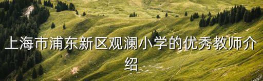 上海市園丁獎先進(jìn)事跡小學(xué)，上海一師附小全名