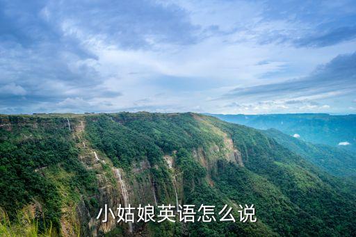 小姐英語，在英語中小姐先生的表示法