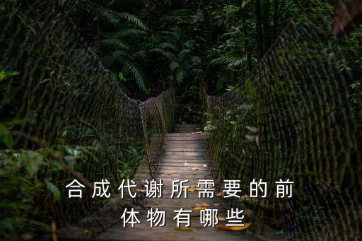 體物，什么是有機(jī)前體物