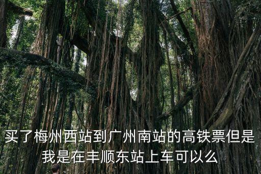 梅州車到廣州南高鐵，買了梅州西站到廣州南站的高鐵票但是我是在豐順東站上車可以么
