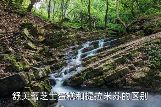 舒芙蕾芝士蛋糕和提拉米蘇的區別