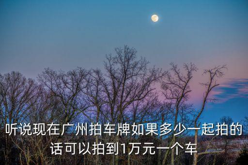 聽說現在廣州拍車牌如果多少一起拍的話可以拍到1萬元一個車