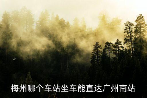 梅州哪個車站坐車能直達廣州南站