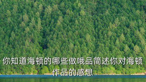 海頓簡介，海頓是哪國人