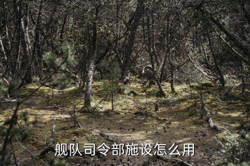 南海艦隊司令部，艦隊司令部施設(shè)怎么用